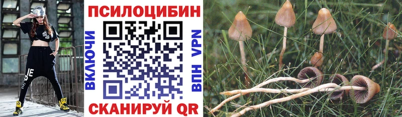 закладка  Горячеводский  Псилоцибиновые грибы ЛСД 