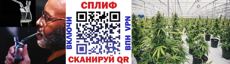 Бошки марихуана конопля  Горячеводский 